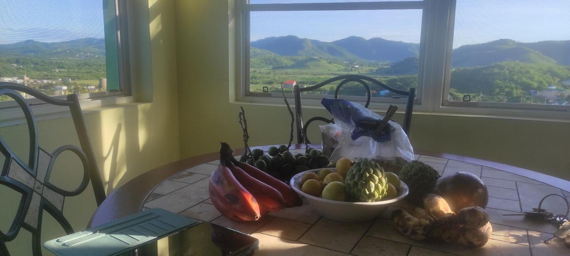 Zeus Estate Guesthouse セントジョンズ エクステリア 写真
